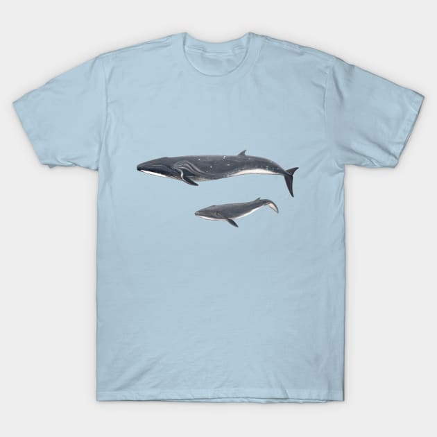 Sei whale T-Shirt by chloeyzoard